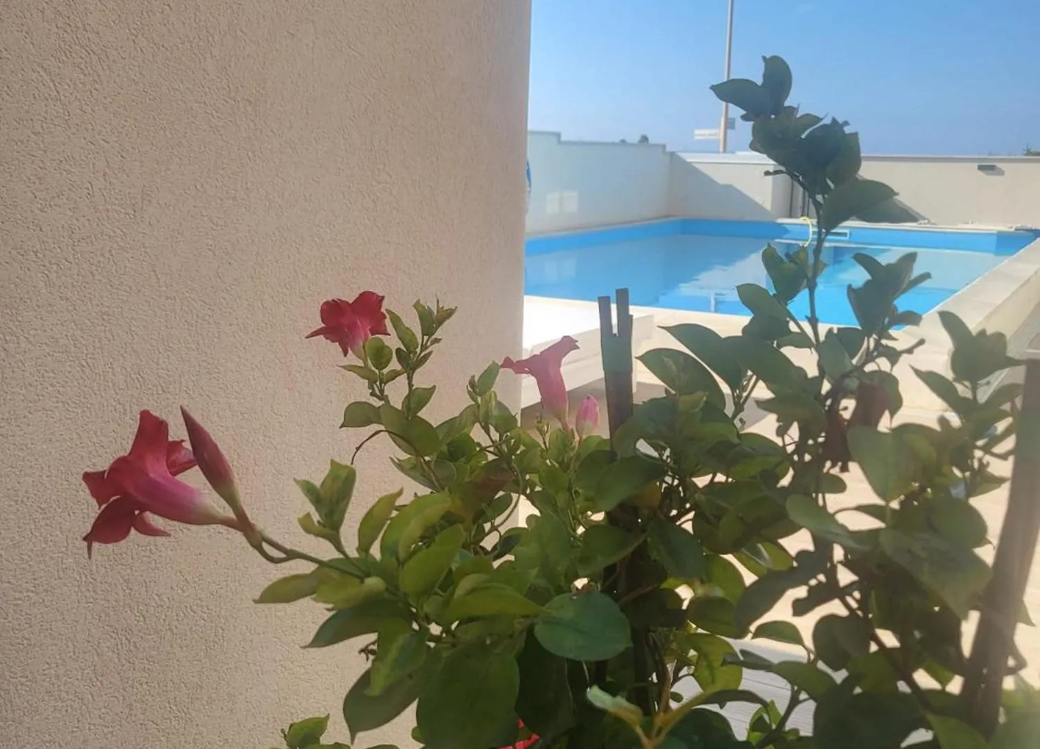 Guest house Casa P. Greco Hotel Portopalo Di Capo Passero Italy